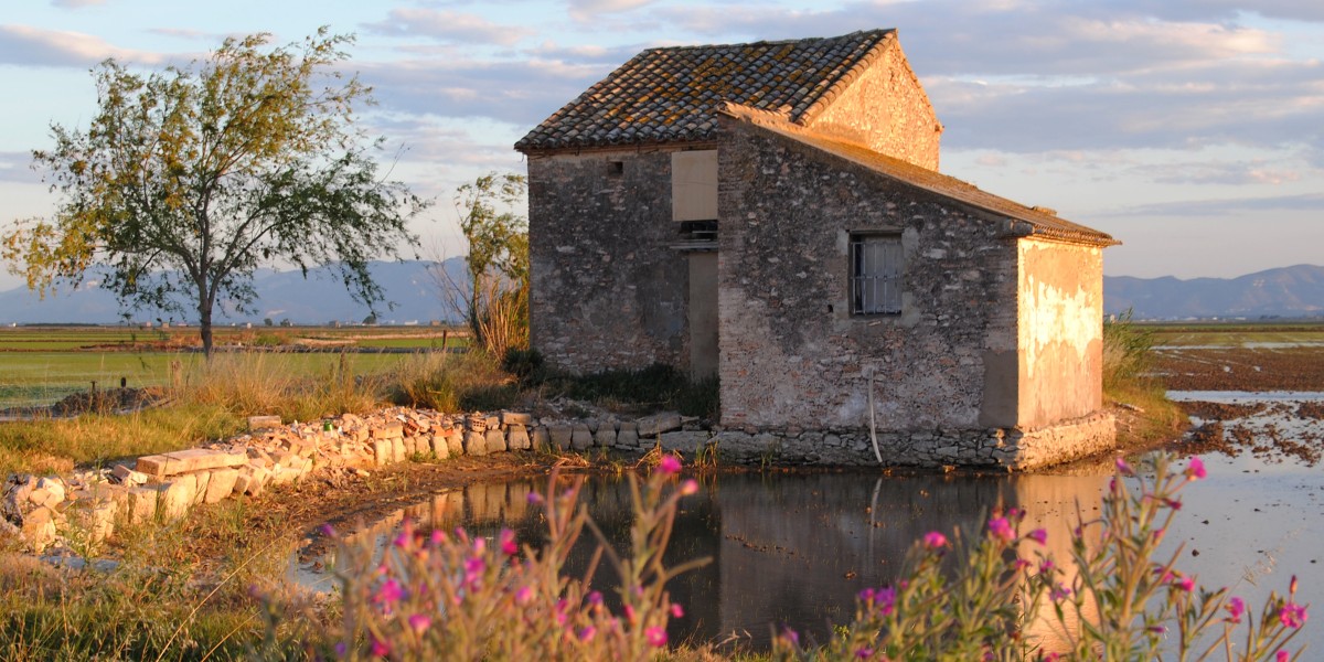 El Palmar Albufera