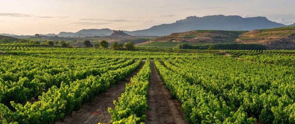 Up and coming locations for properties in Spain