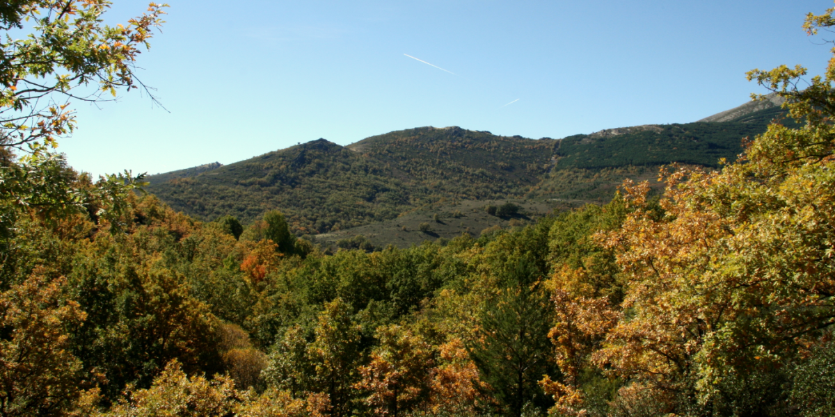 sierra del rincon