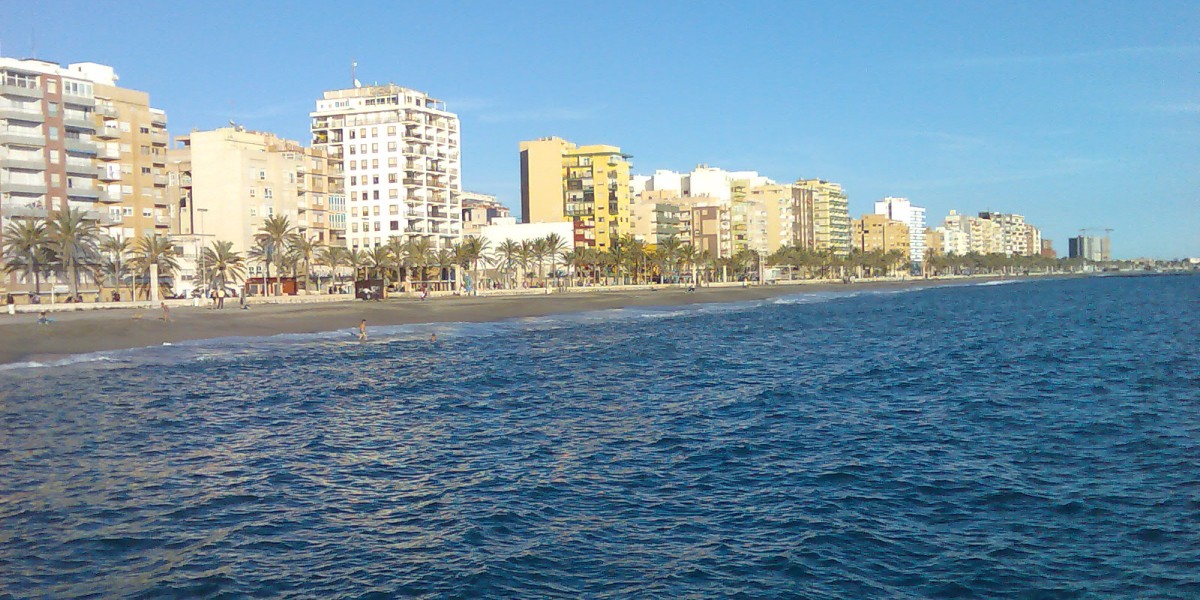 zapillo