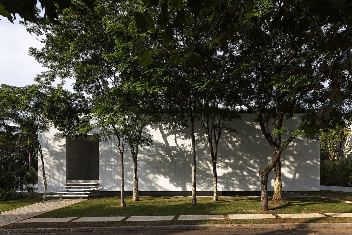 Jardín con árboles