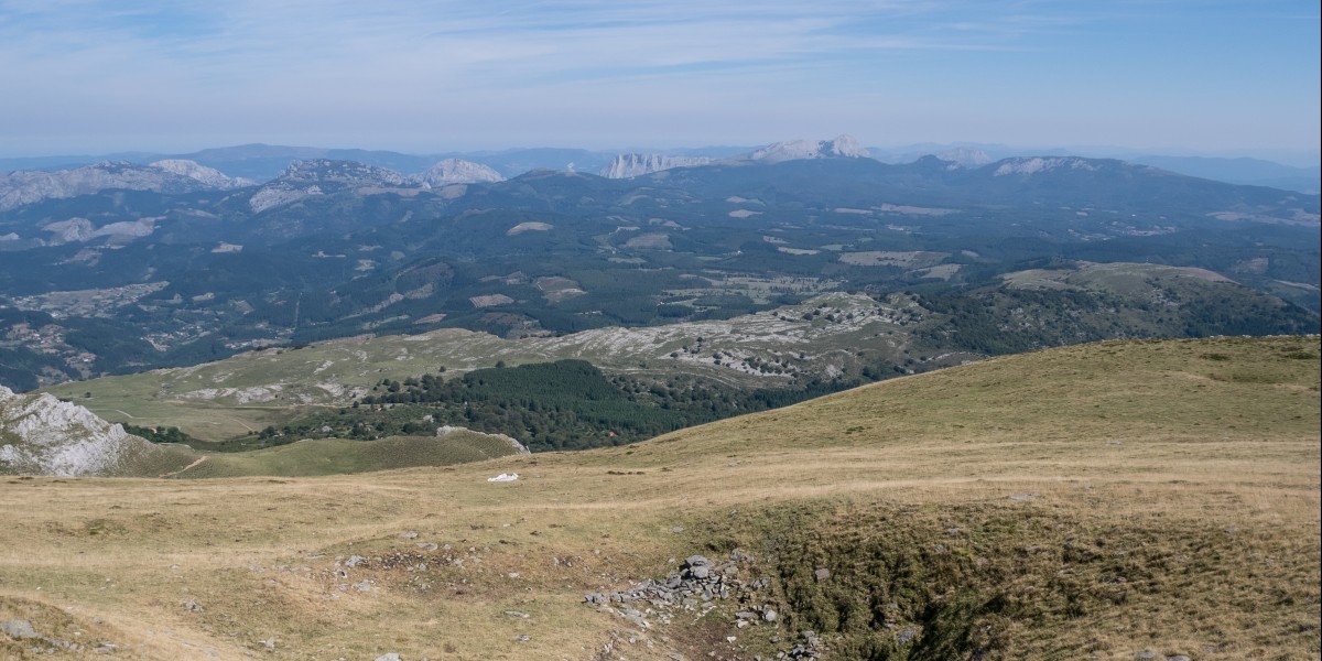 Gorbea