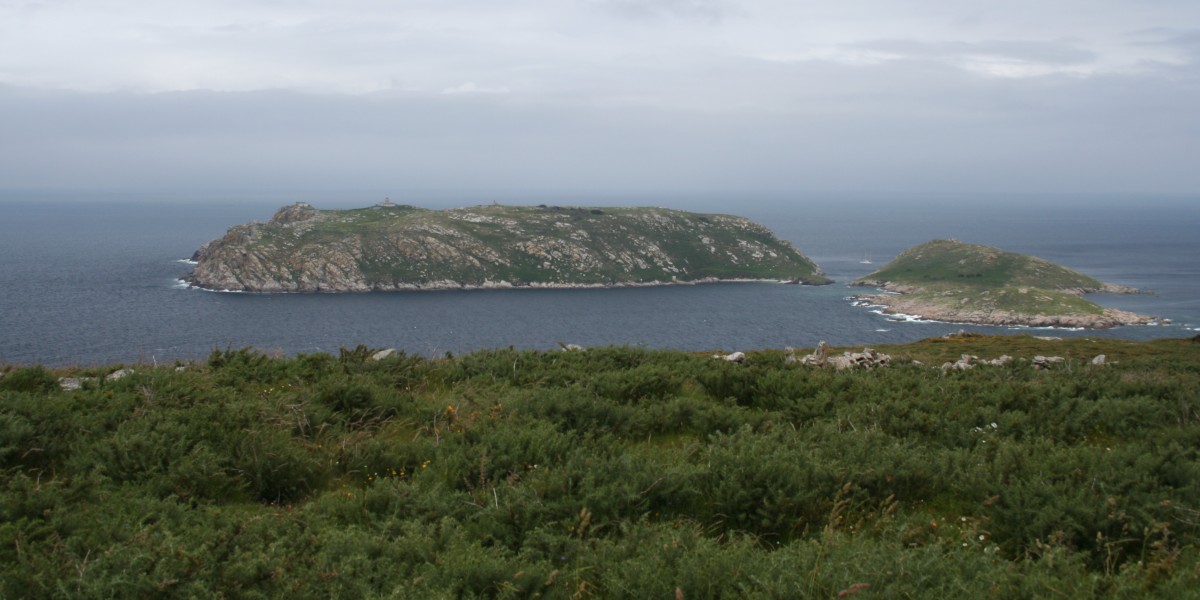 Sisargas