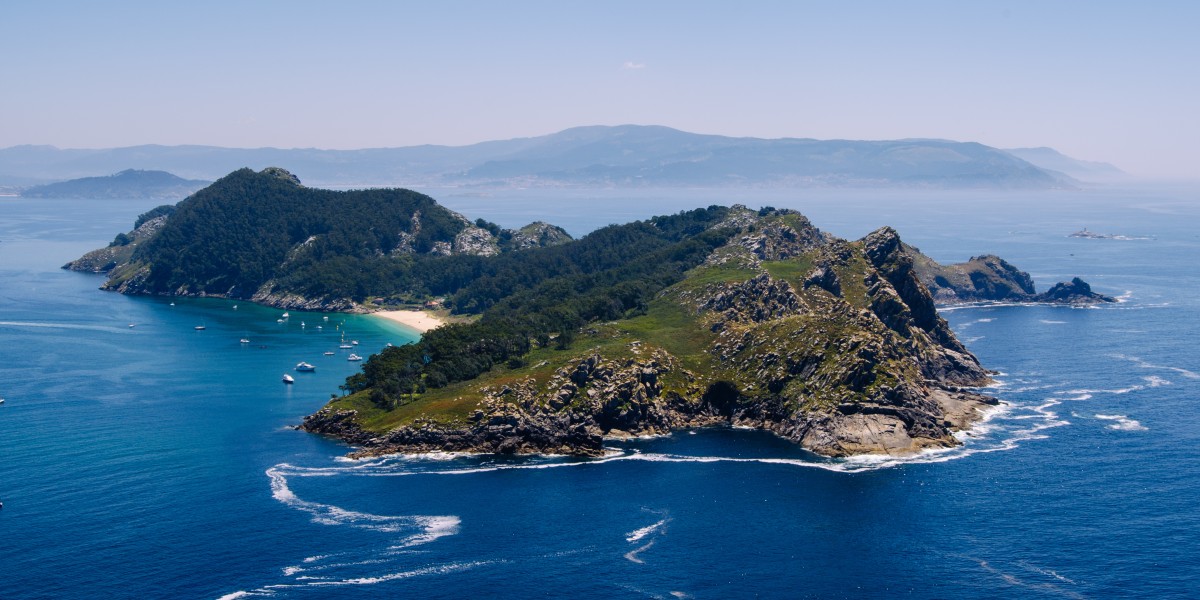 cies