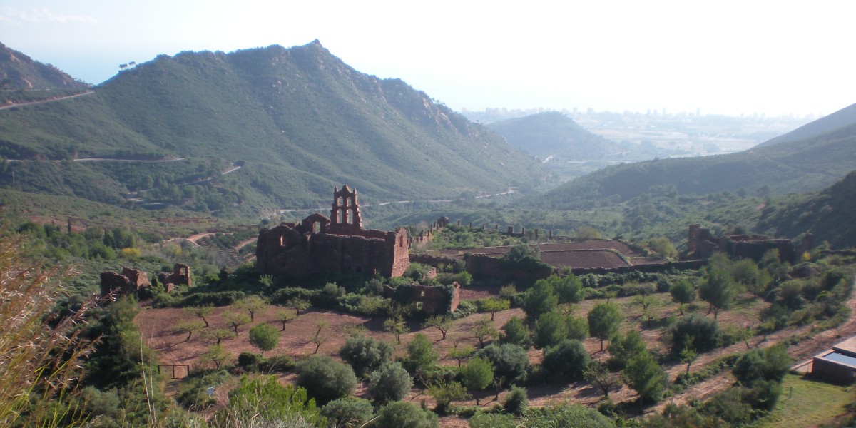 desert de les palmes