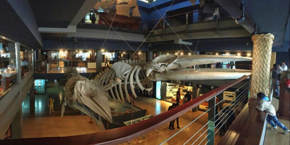 museo cantabrico