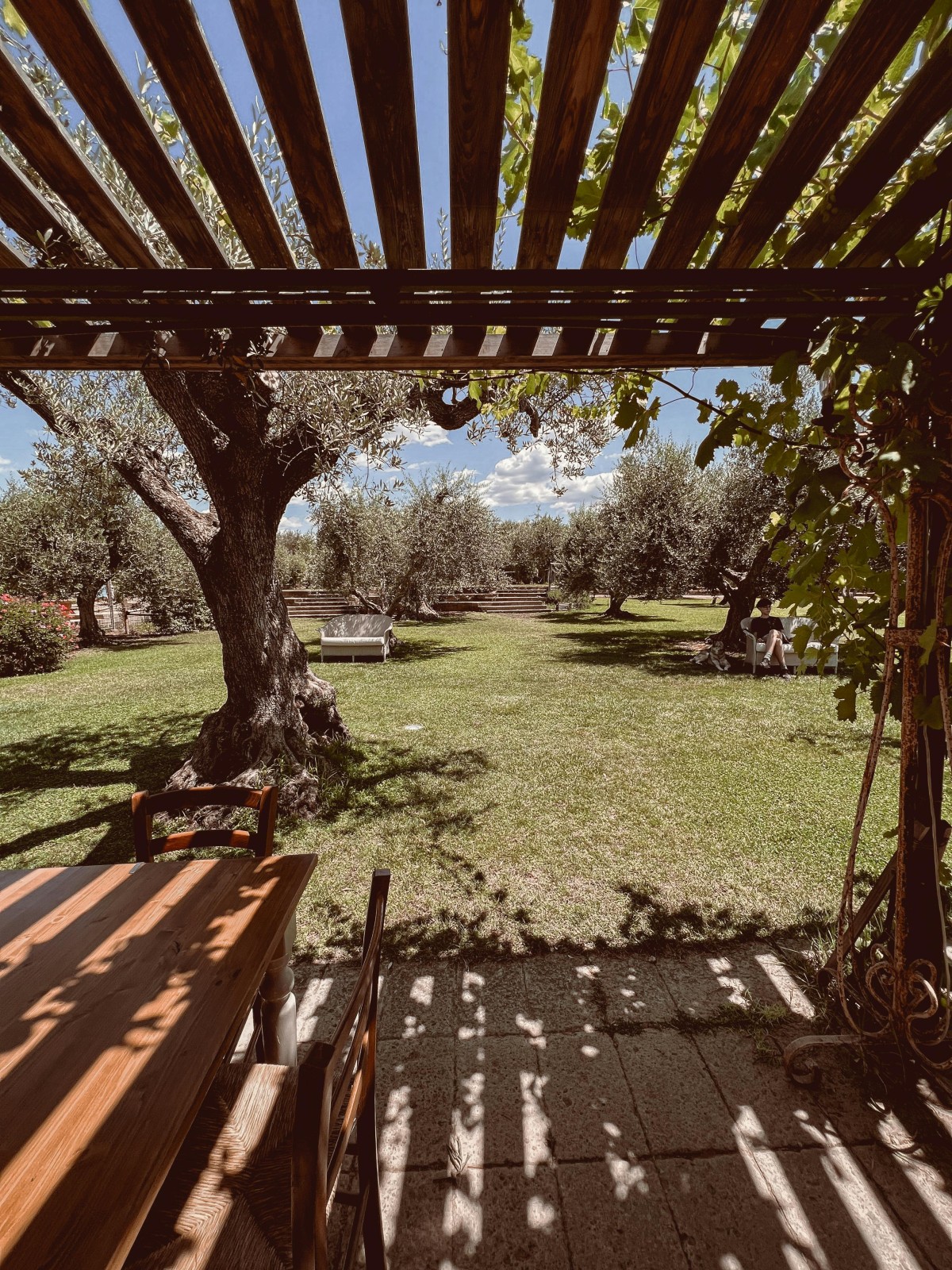Pavimentar con materiales recuperados y crear un espacio de sombra harán de tu patio un lugar más agradable y sostenible