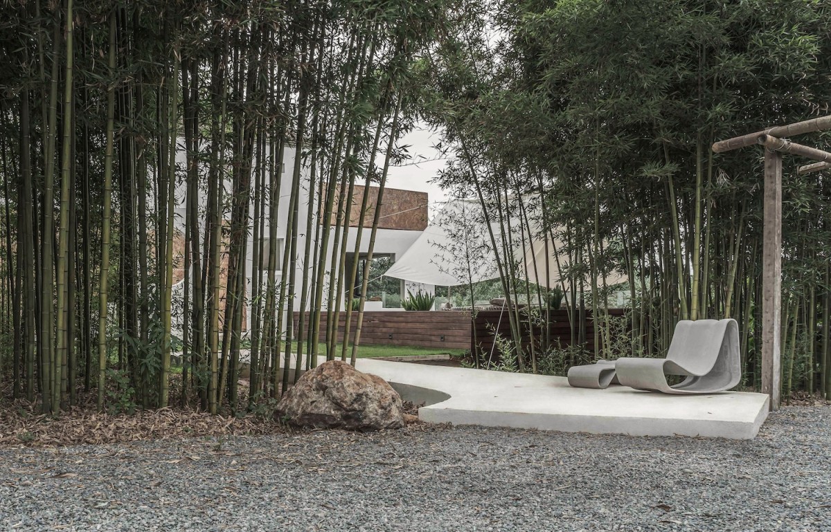 Camino a la casa entre árboles