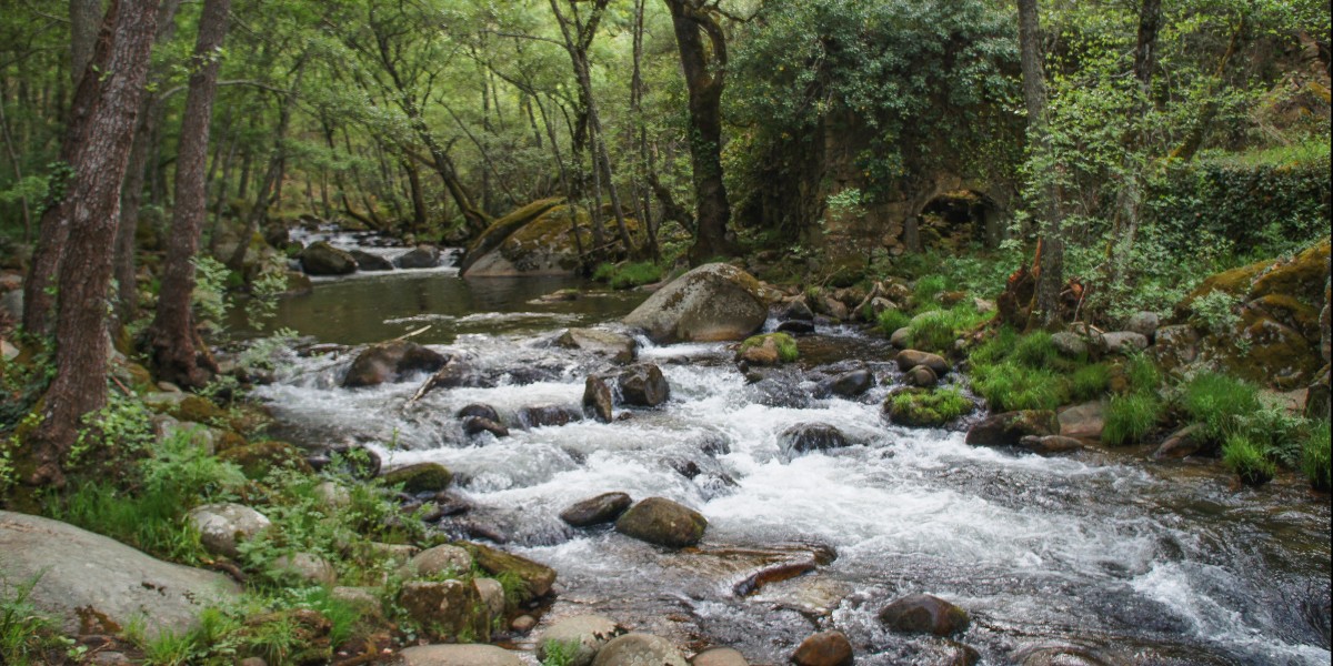 Sierra de francia