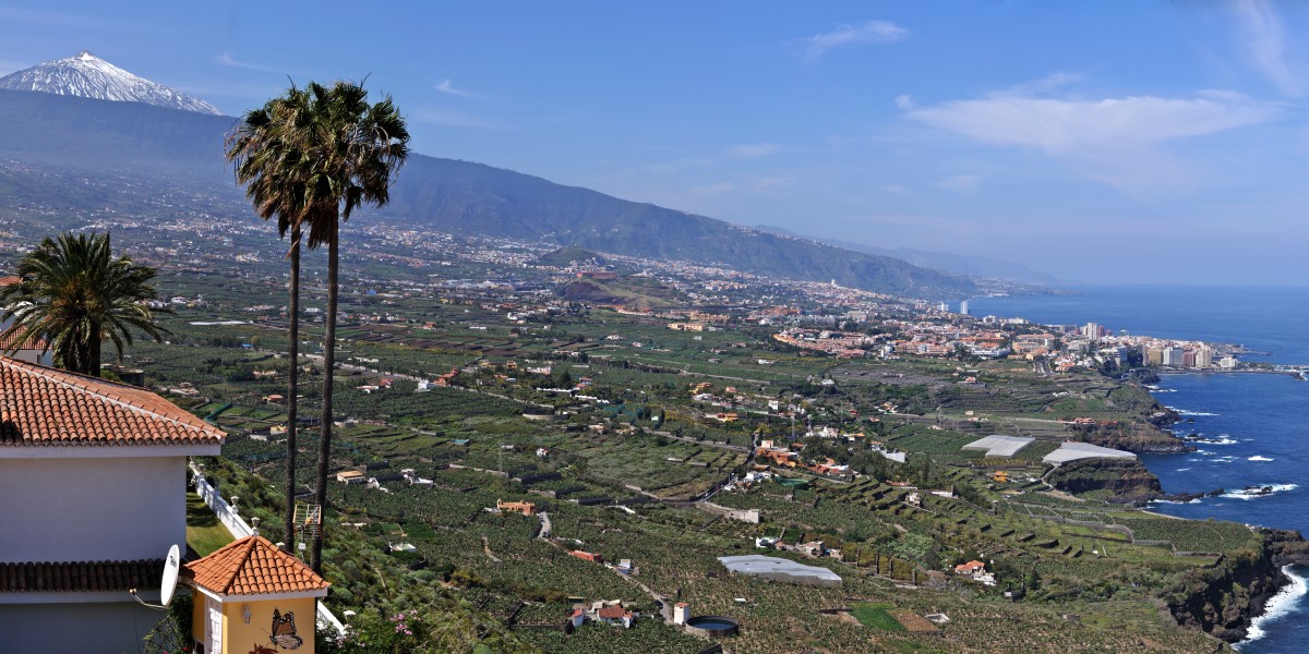 The Orotava