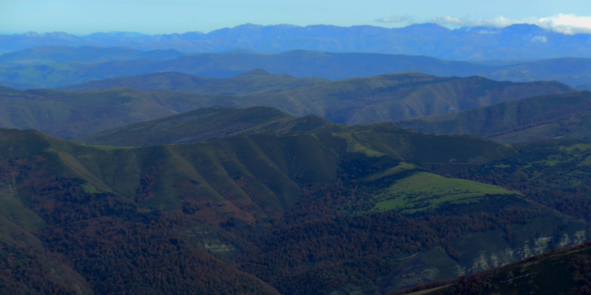saja besaya