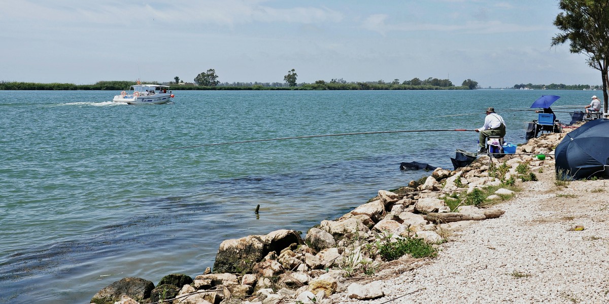 delta del ebro