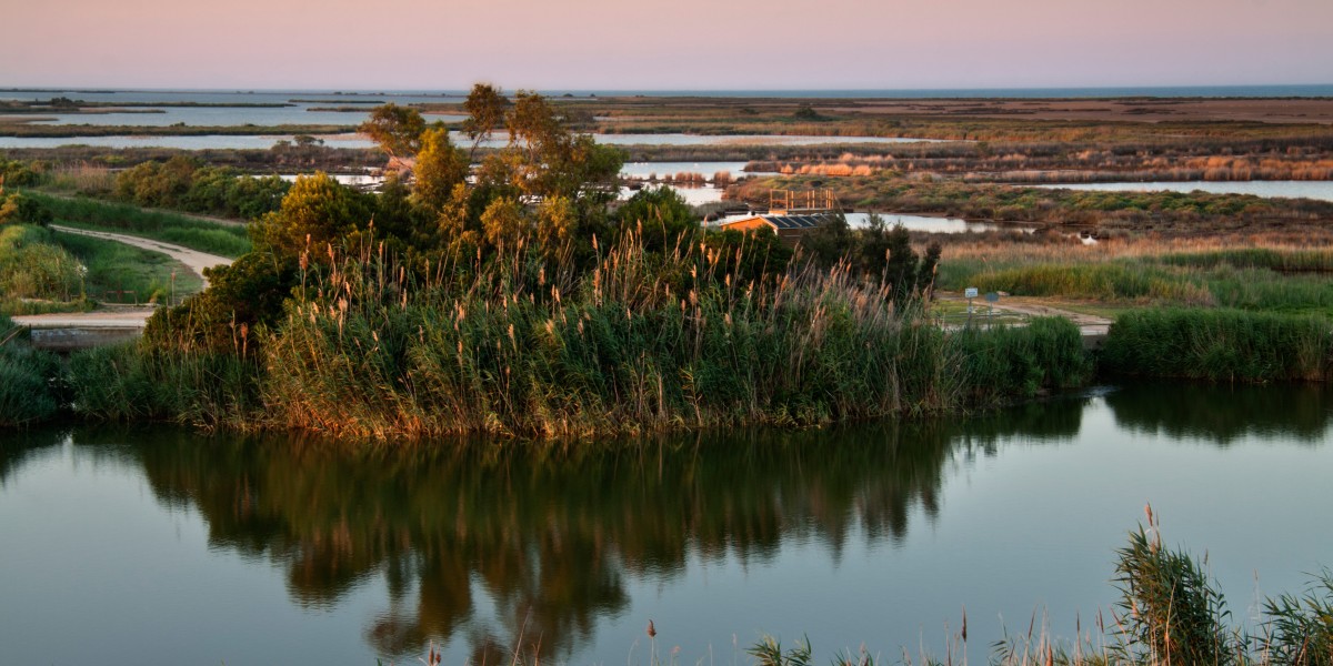 delta del ebro