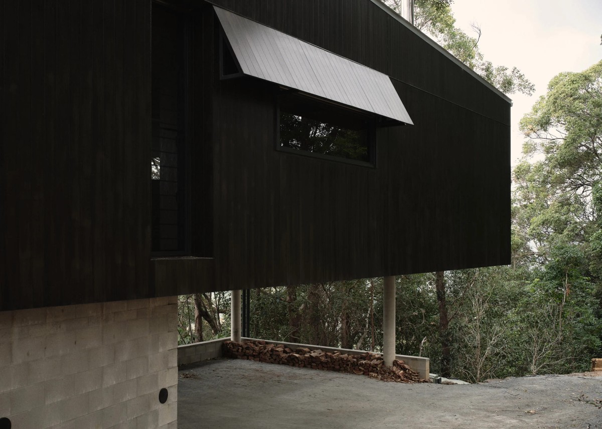 El estudio australiano Fouché Architects es el artífice del proyecto Tallowwood Cabin, en una densa área boscosa en Tallebudgera, Queensland (Australia).