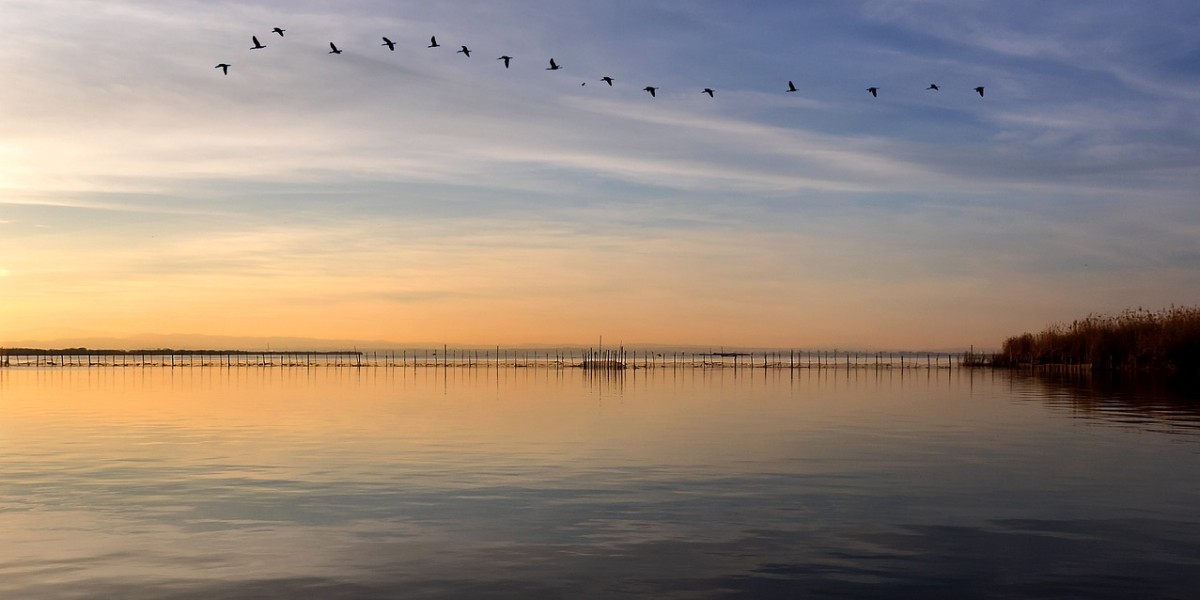 albufera