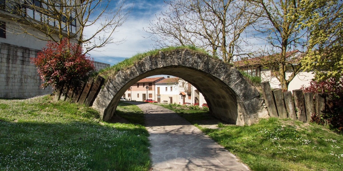 salvatierra