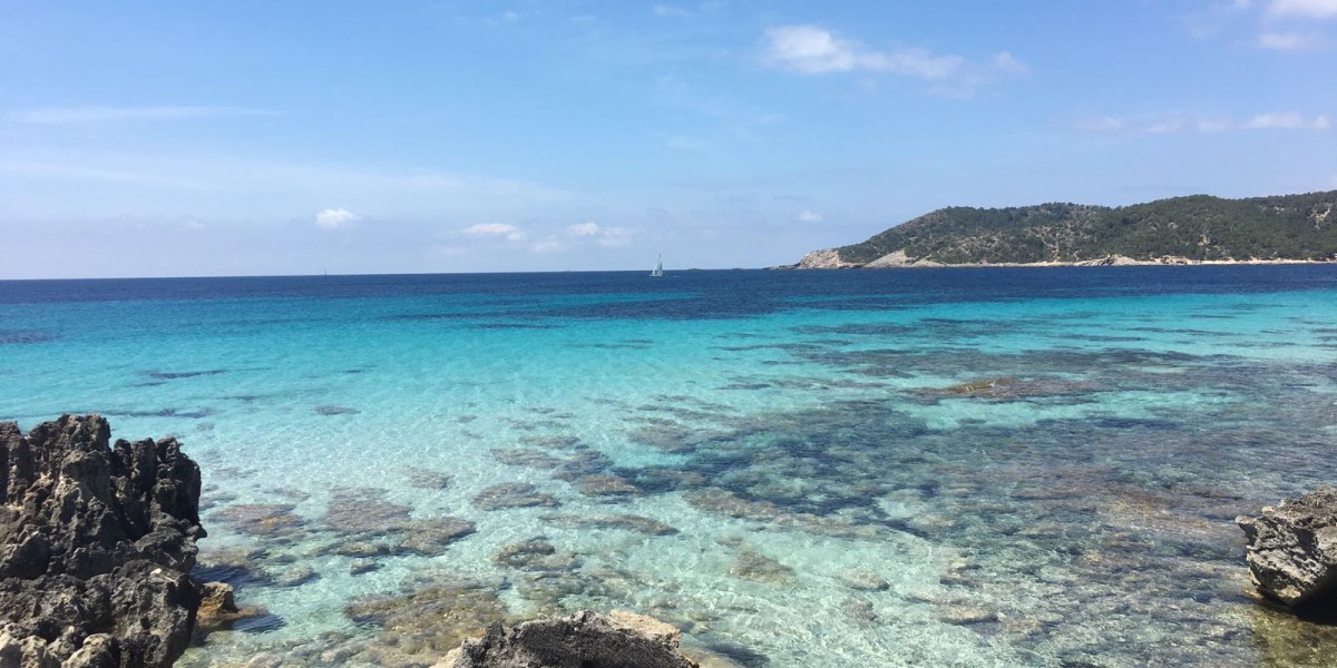 ses salines