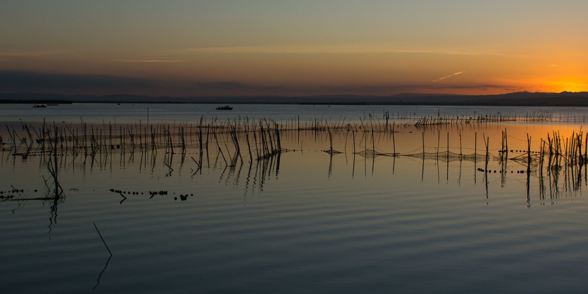 albufera
