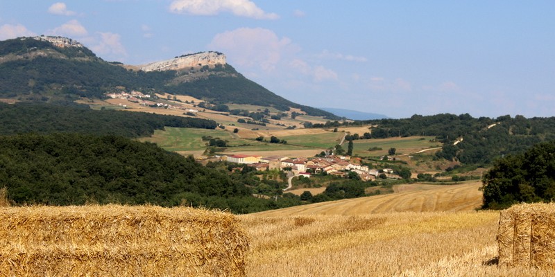 urturi
