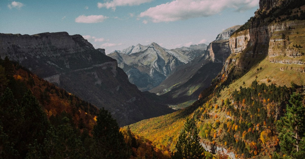 Forests in Spain