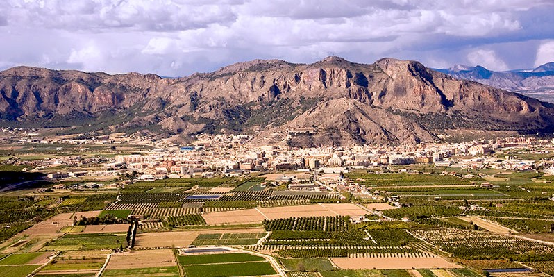 orihuela