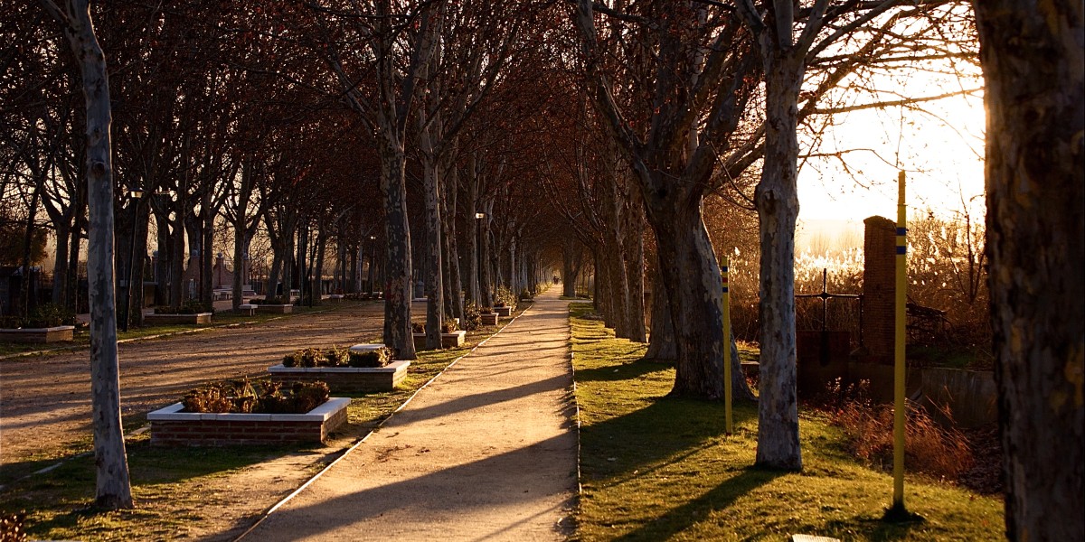 san fernando de henares