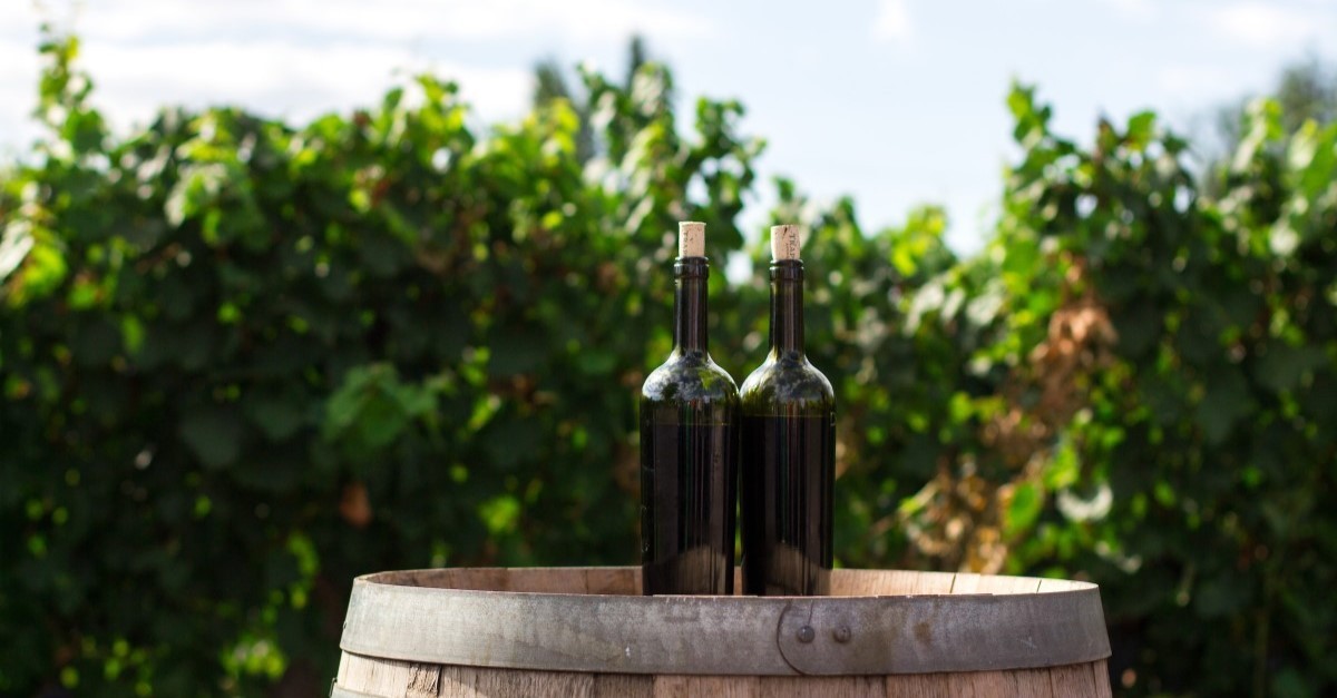 Enjoy the best wine in Spain
