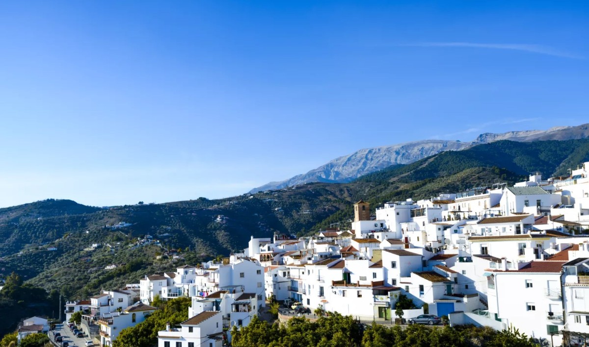 Salares
