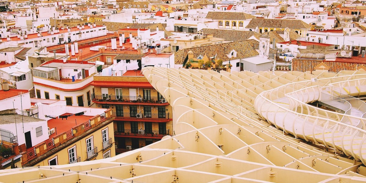 Seville mushrooms