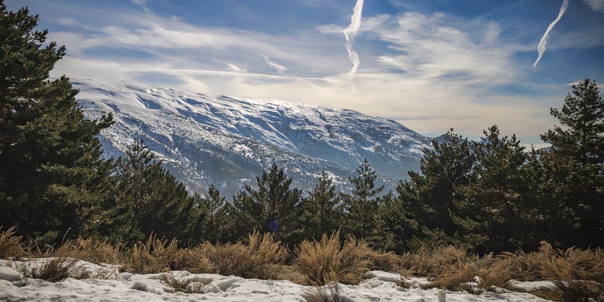 sierra nevada