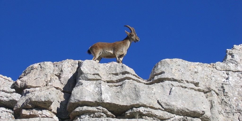 torcal