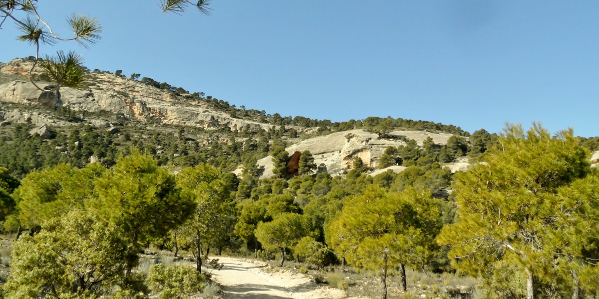 arabi
