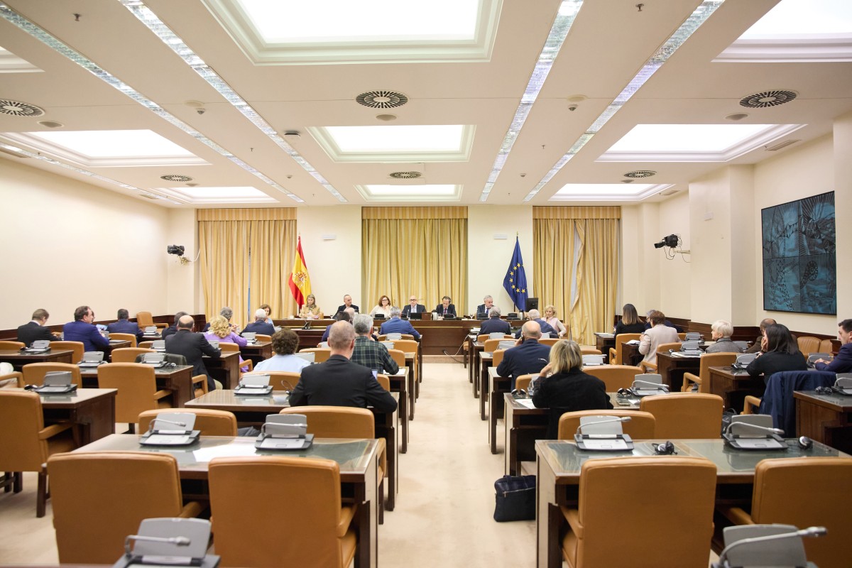 Sesión de la Comisión de Hacienda y Función Pública, en el Congreso