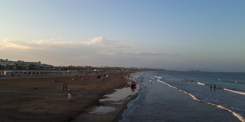 malvarrosa