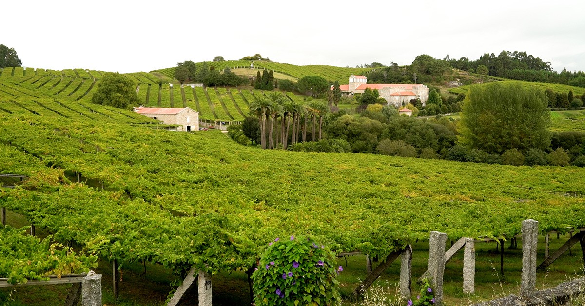 Finca del Pazo Baión