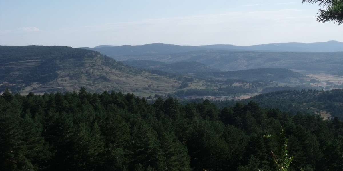 montes universales