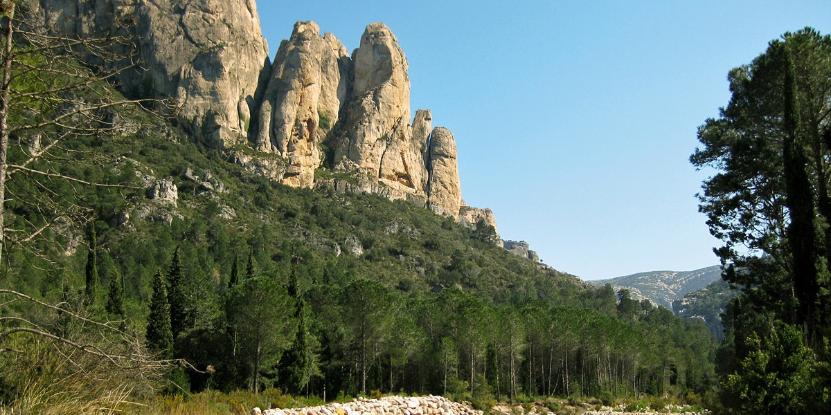 els ports
