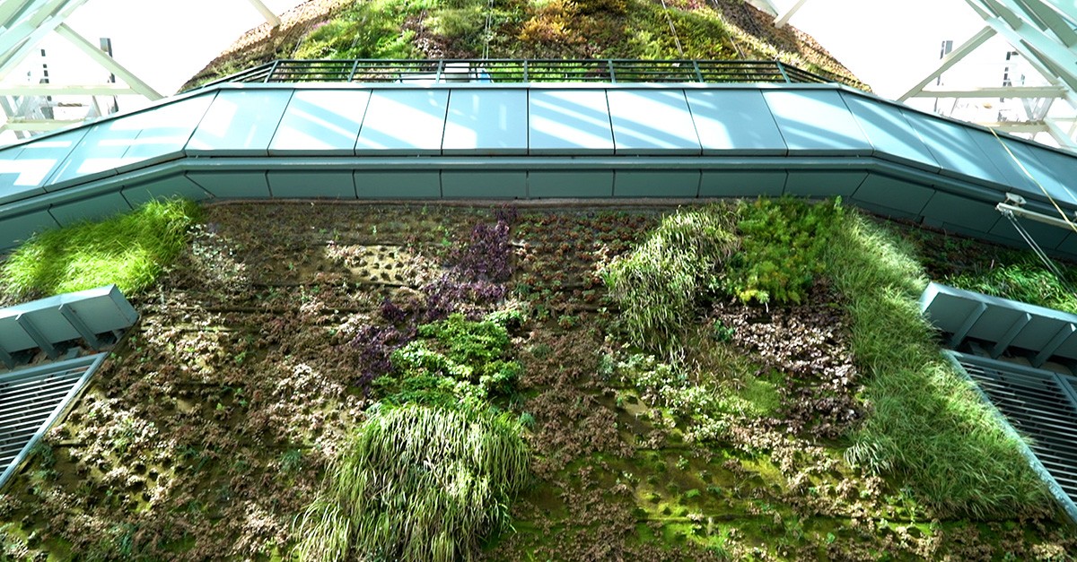 Jardín vertical de Torre de Cristal