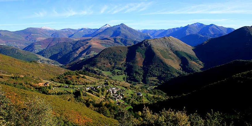 narcea