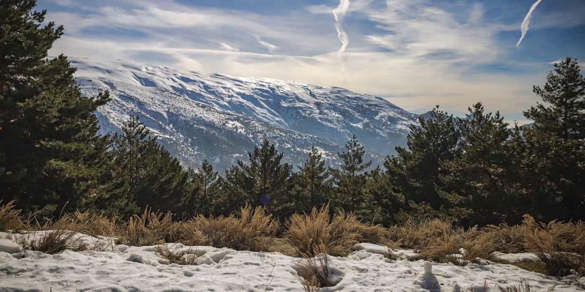 sierra nevada