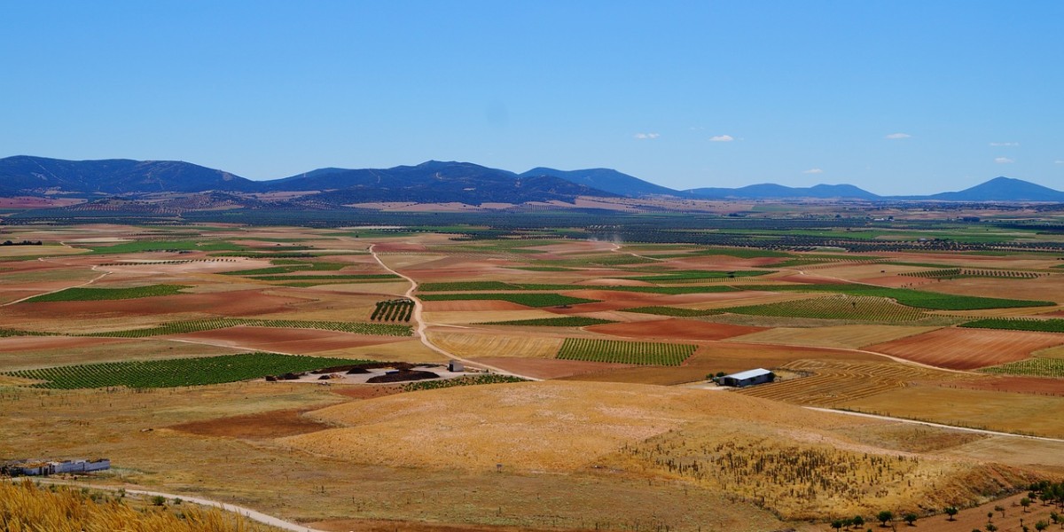 la mancha