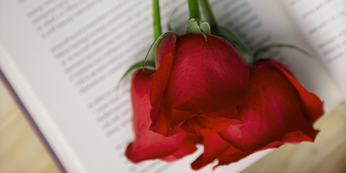 rosa y libro