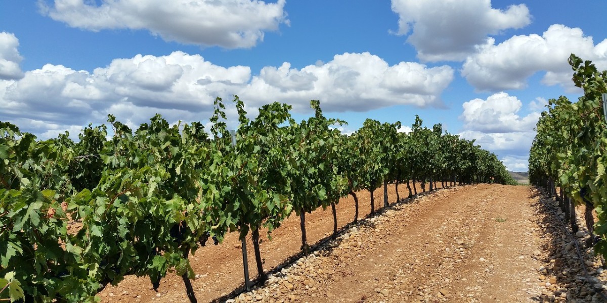 la rioja