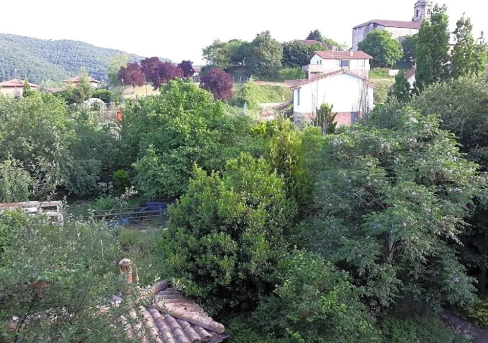 Vistas desde el palacio