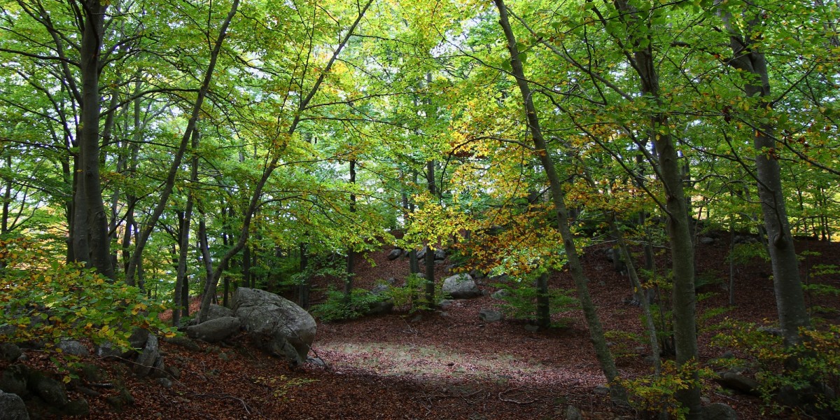 montseny