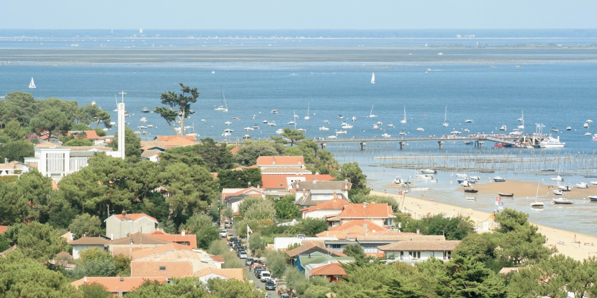 cap ferret