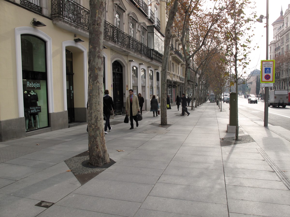 Calle Serrano de Madrid