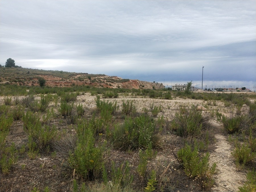 Suelo de Sareb en Arganda (Madrid)