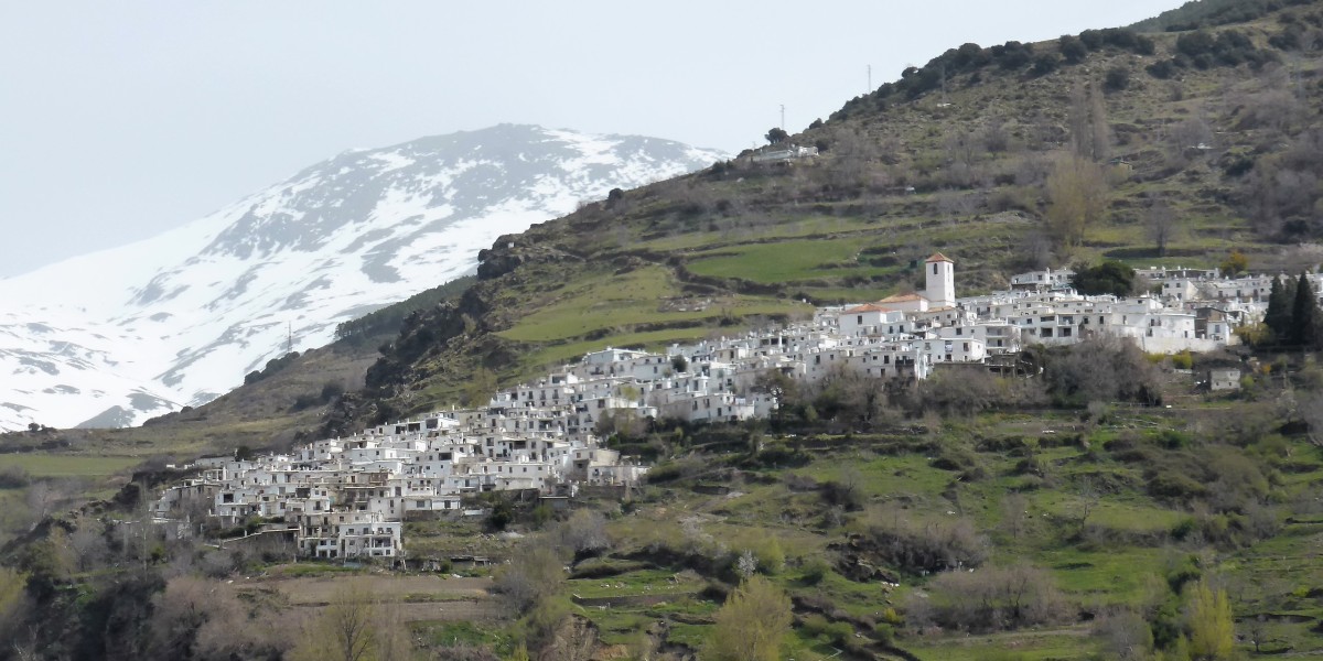 pampaneira