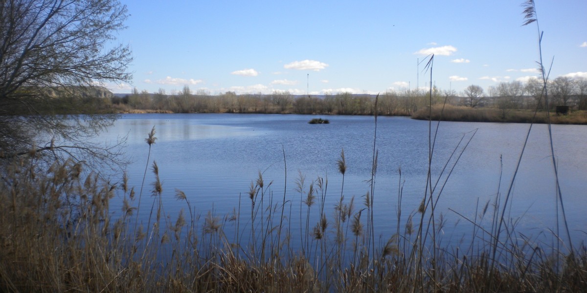 parque regional del sureste